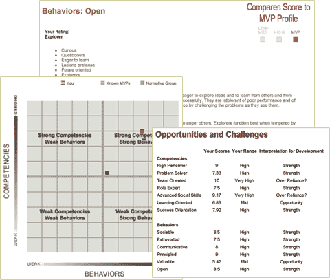 Competencies and Behaviors Instrument - Sample Results